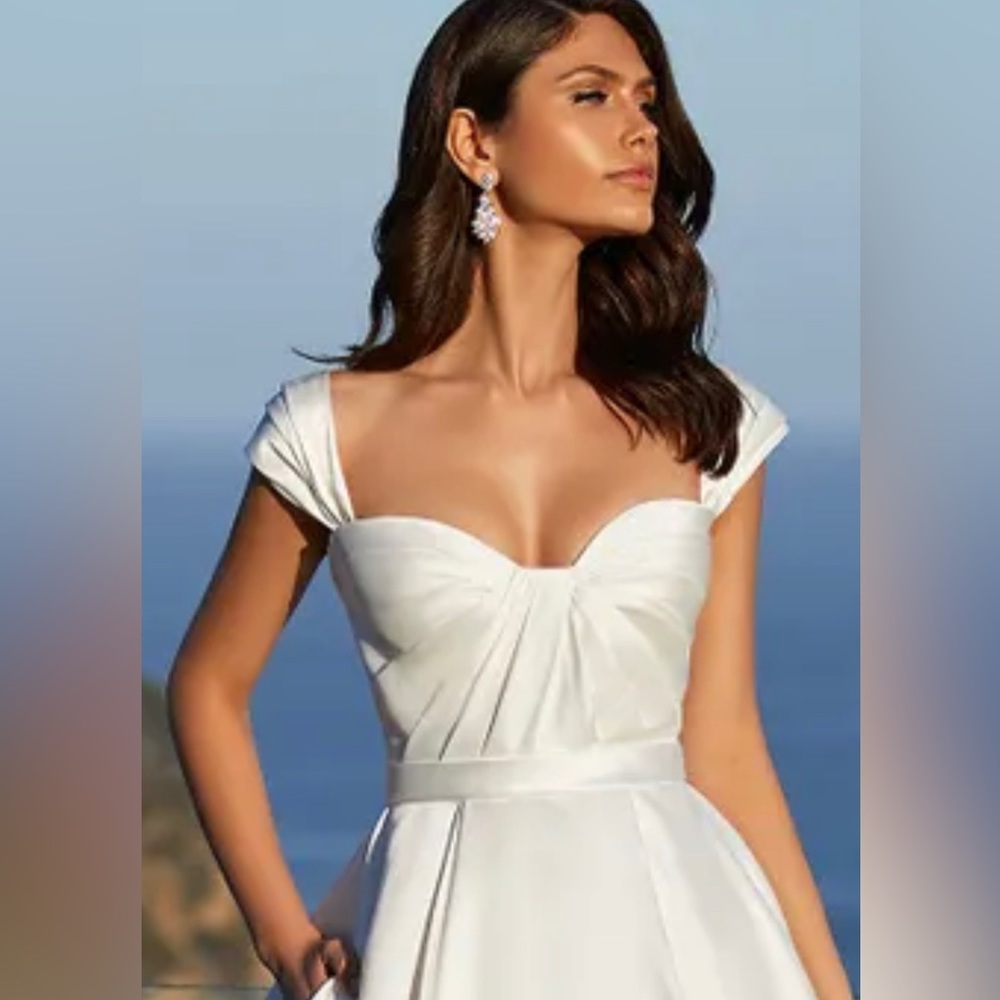 Pronovias Dominique Wedding Gown NEW w/Tags - Picture 4 of 5